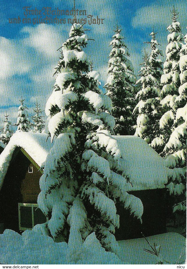 CHRISTMAS - 10 USED POSTCARDS - Roumanie