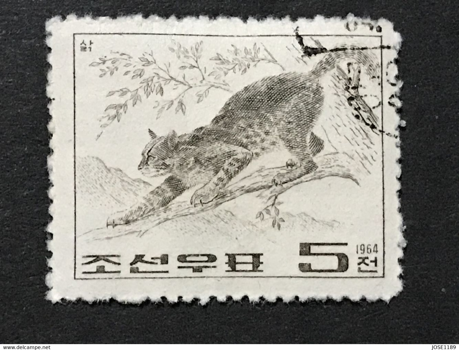 ◆◆◆Korea, North 1964  Wild Animals  , SC＃555 ,  5ch USED  AB7115 - Korea (Noord)