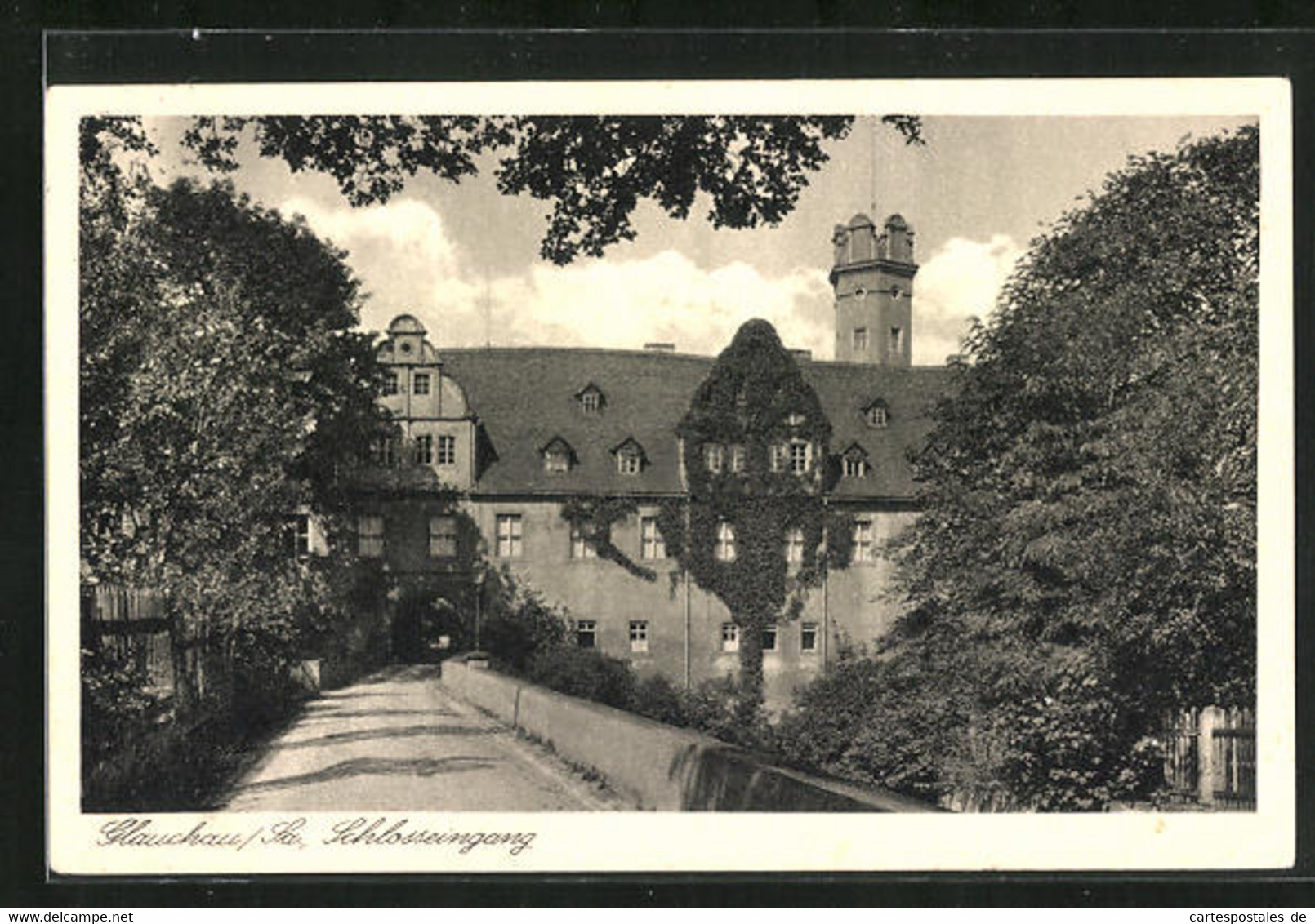 AK Glauchau I. Sa., Sicht Auf Den Schlosseingang - Glauchau