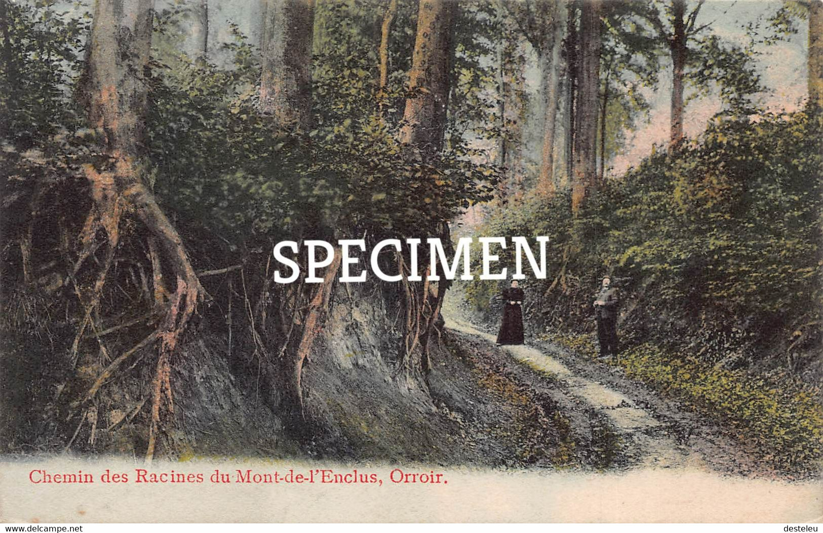 Chemin Des Racines Orroir - Mont-de-l'Enclus - Kluisberg - Kluisbergen