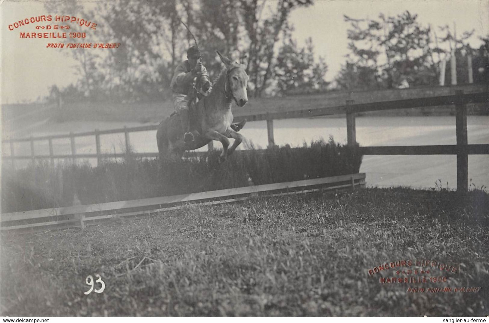 CPA 13 MARSEILLE CARTE PHOTO CONCOURS HIPPIQUE 1908 (photo Fontaine D'albert - Unclassified