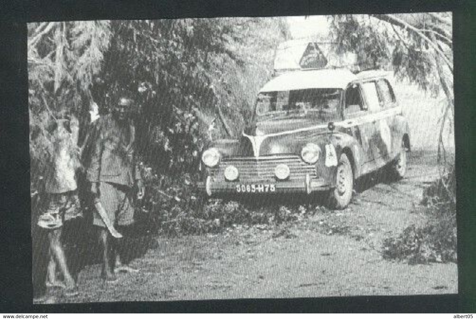 Peugeot 203 - Le Cap-Paris 2000 - Rally Racing