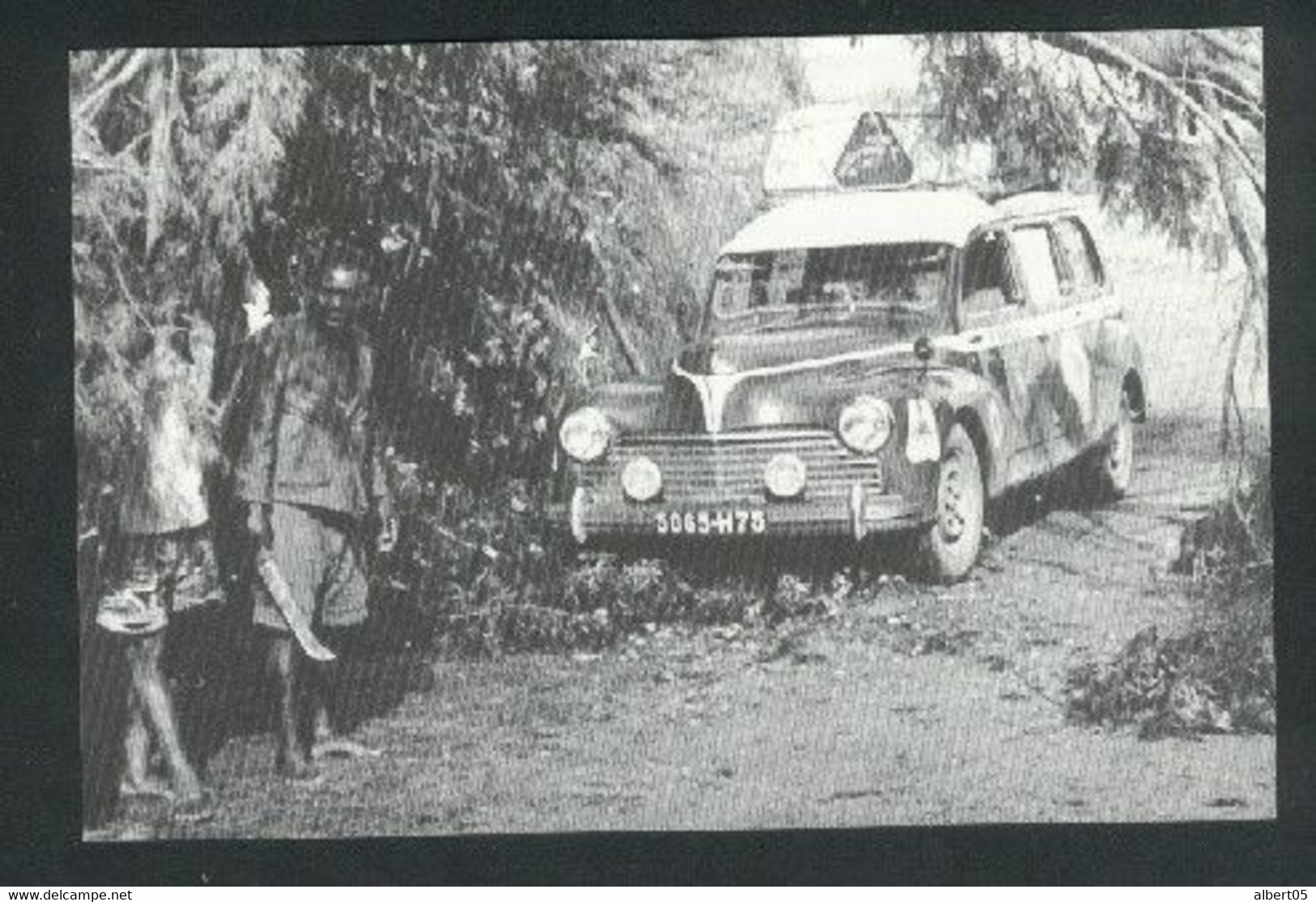 Le Cap -Paris 2000  Peugeot 203 Break - Rally Racing