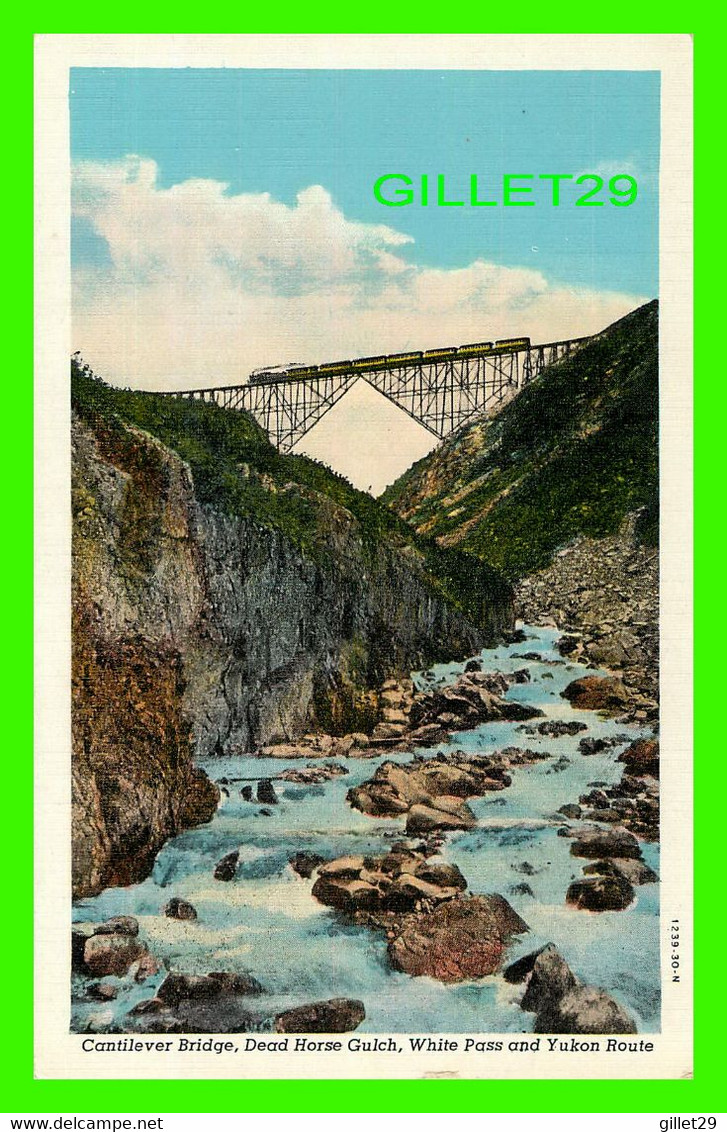 YUKON - CANTILEVER BRIDGE, DEAD HORSE GULCH, WHITE PASS AND YUKON ROUTE - CURTEICH-CHICAGO - TRAINS - - Yukon