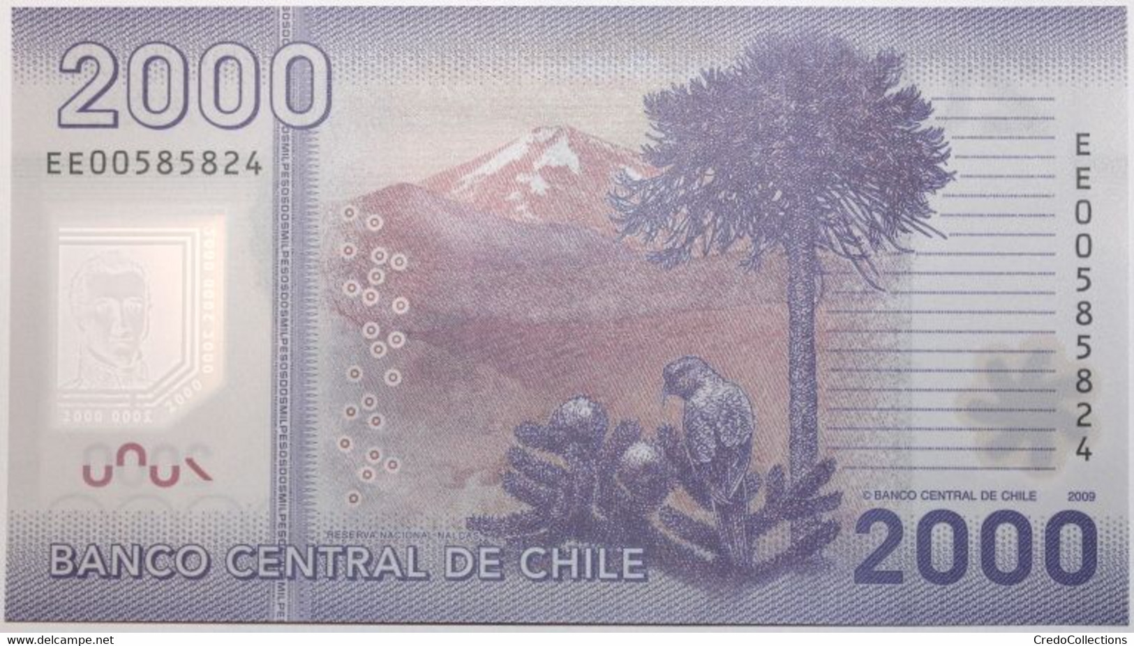 Chili - 2000 Pesos - 2009 - PICK 162 - NEUF - Chile