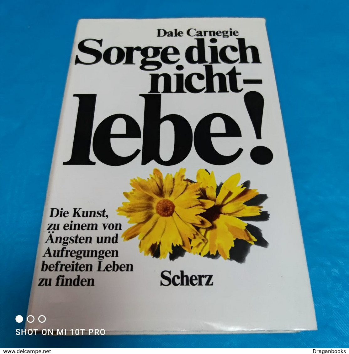 Dale Carnegie - Sorge Dich Nicht - Lebe - Salud & Medicina