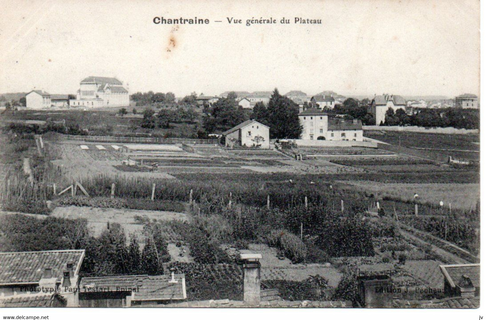 Chantraine - Vue Générale Du Plateau - Chantraine