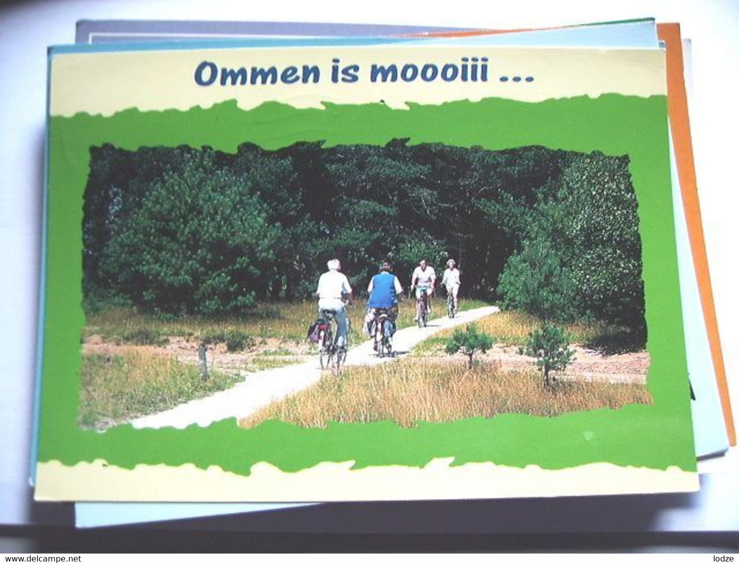 Nederland Holland Pays Bas Ommen Met Fietsers Op Een Fietspad - Ommen