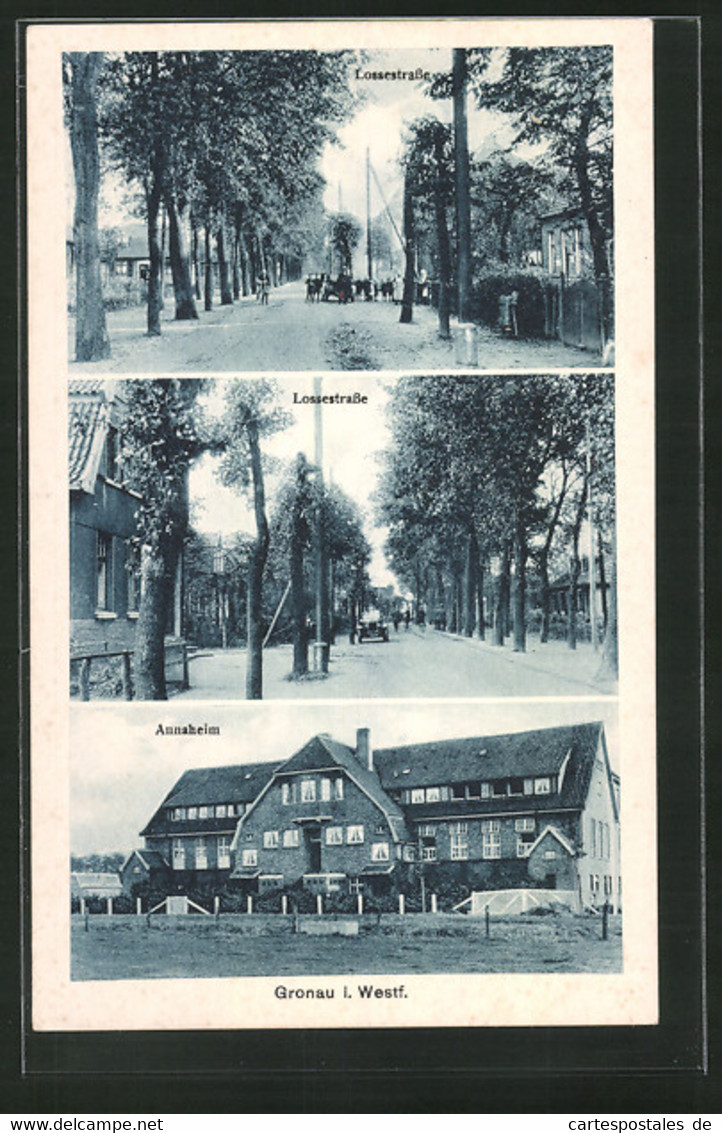 AK Gronau I. Westf., Annaheim, Motive Aus Der Lossestrasse - Gronau