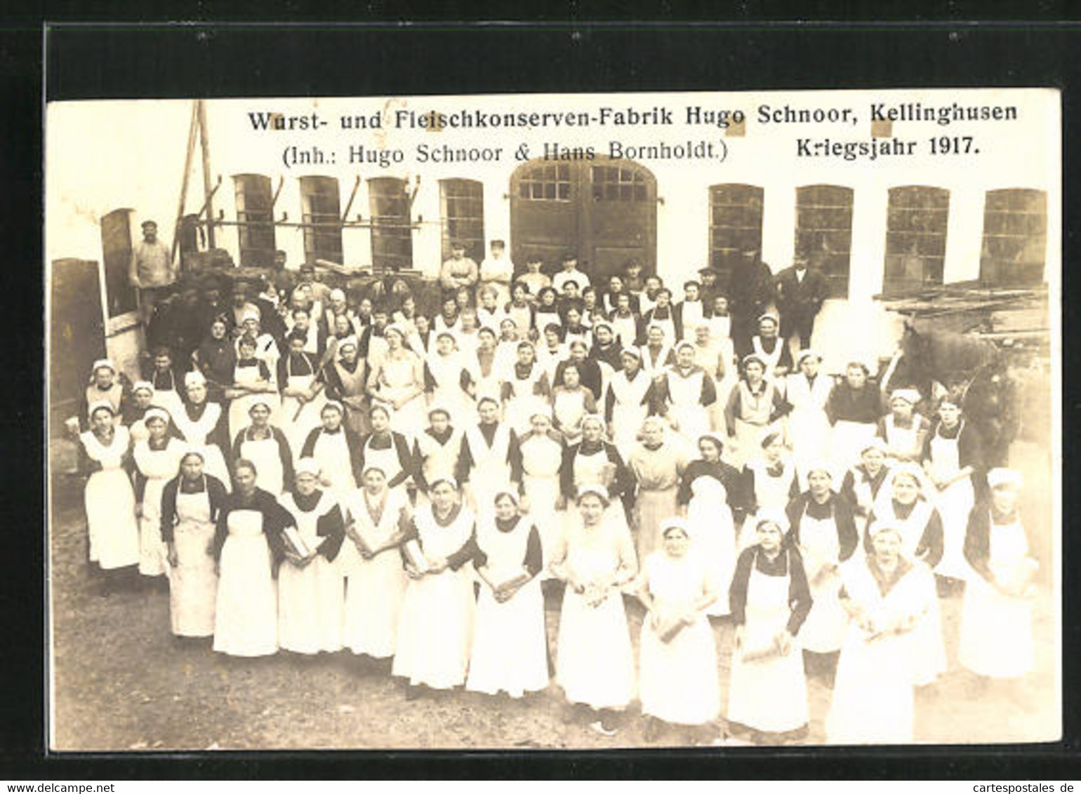 AK Kellinghusen, Wurst- Und Fleischkonserven-Fabrik V. Hugo Schnoor 1917 - Kellinghusen
