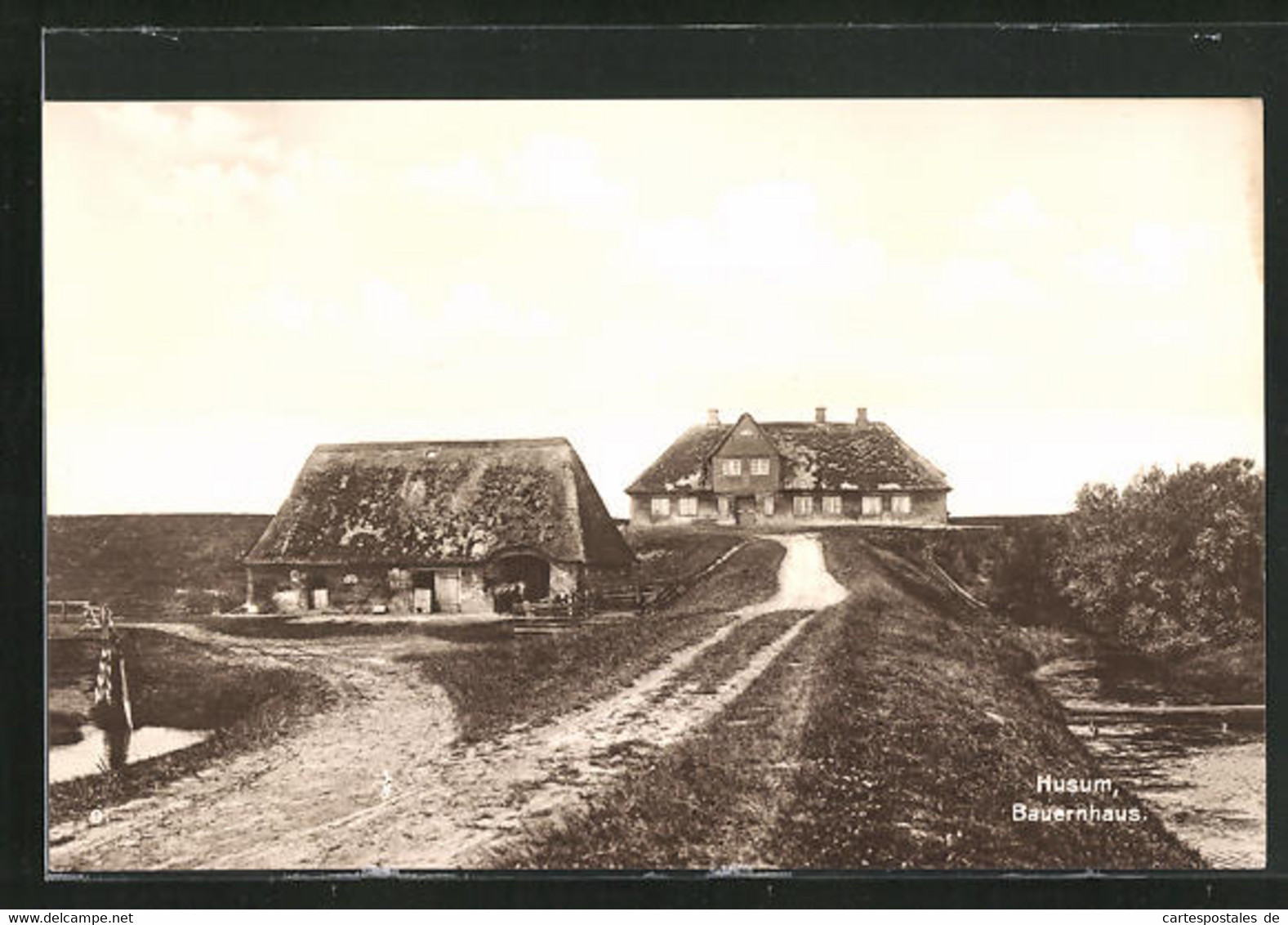 AK Husum, Blick Auf Bauernhäuser - Husum