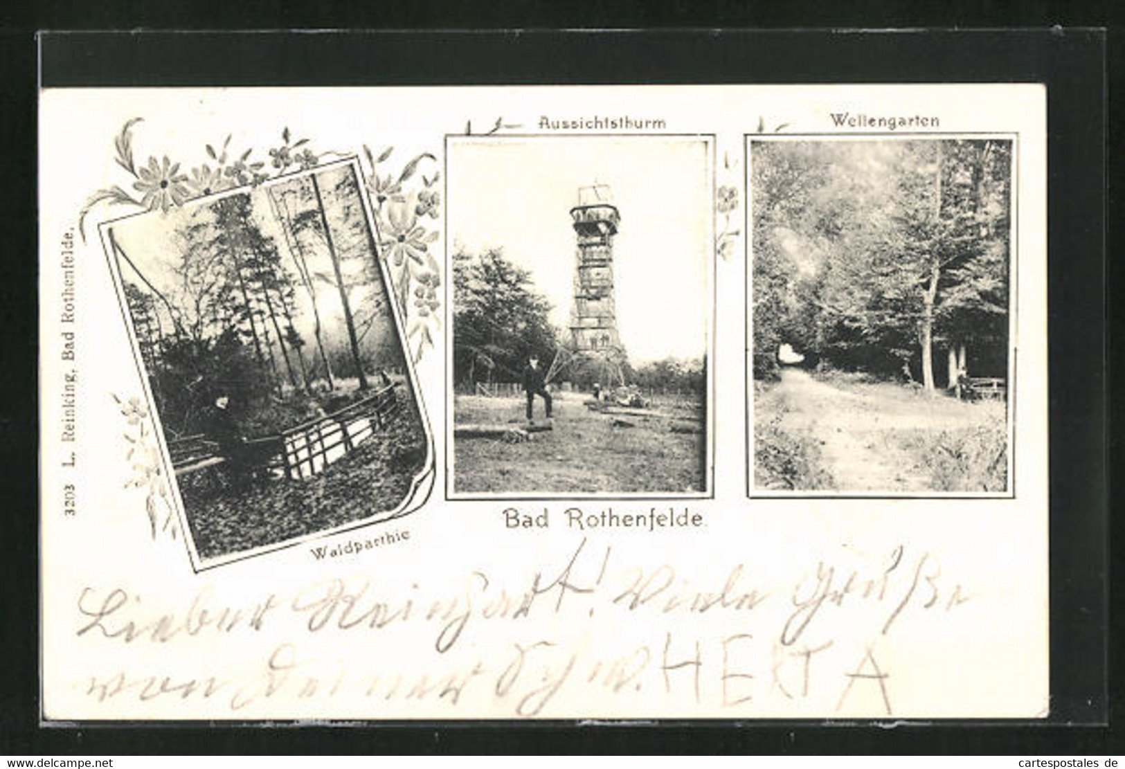 AK Bad Rothenfelde, Teilansicht Von Waldpartie, Aussichtsturm Und Wellengarten - Bad Rothenfelde