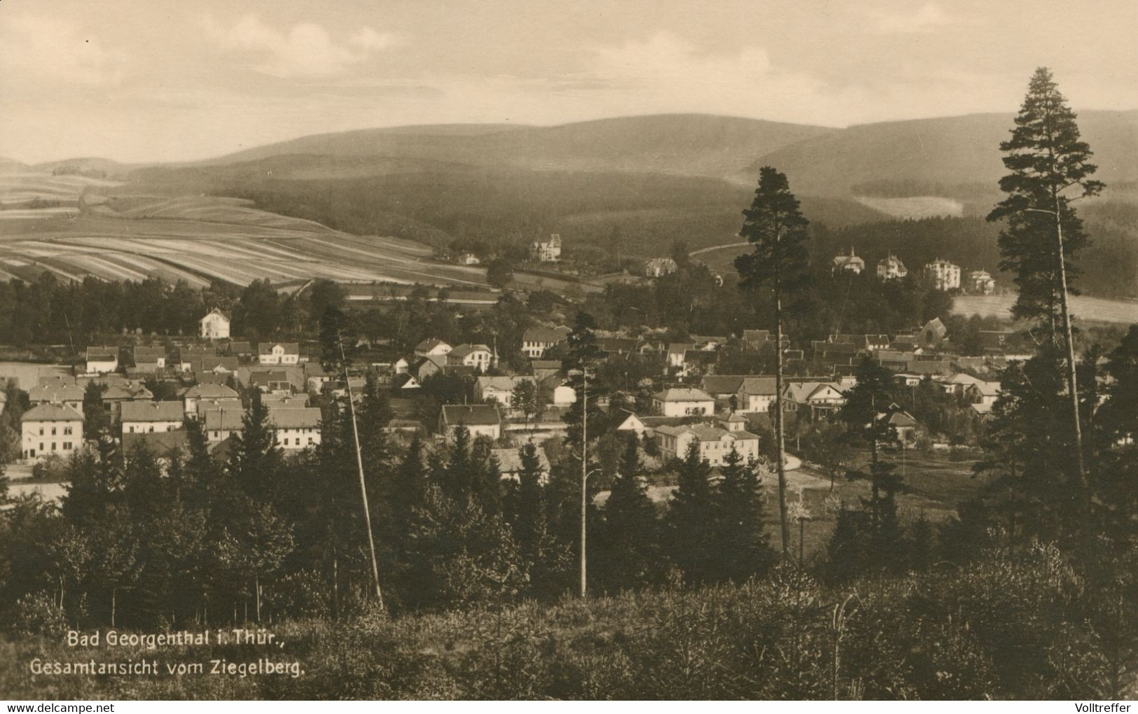 Foto AK Um 1930 Bad Georgenthal In Thüringen, Gesamtansicht Vom Ziegelberg - Georgenthal