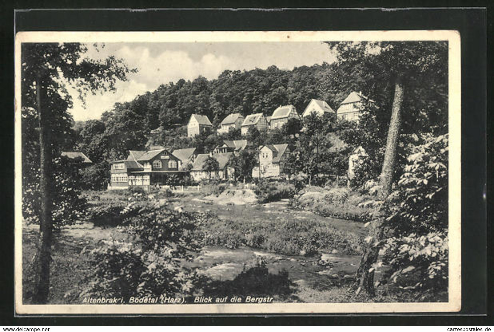 AK Altenbrak / Harz, Blick Auf Die Bergstrasse - Altenbrak