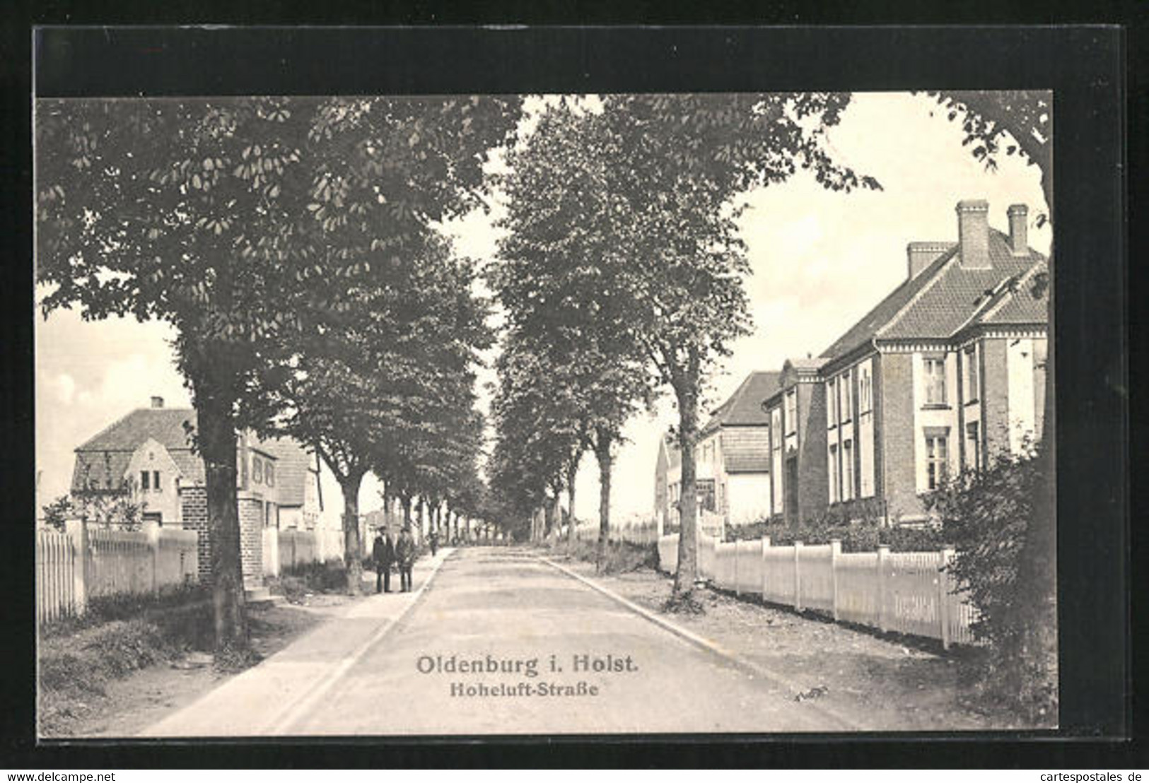 AK Oldenburg I. H., Blick In Die Hoheluft-Strasse - Oldenburg (Holstein)