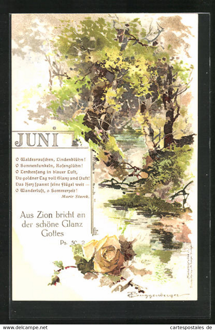 Künstler-AK Theodor Guggenberger: Bach Im Wald Im Juni - Guggenberger, T.