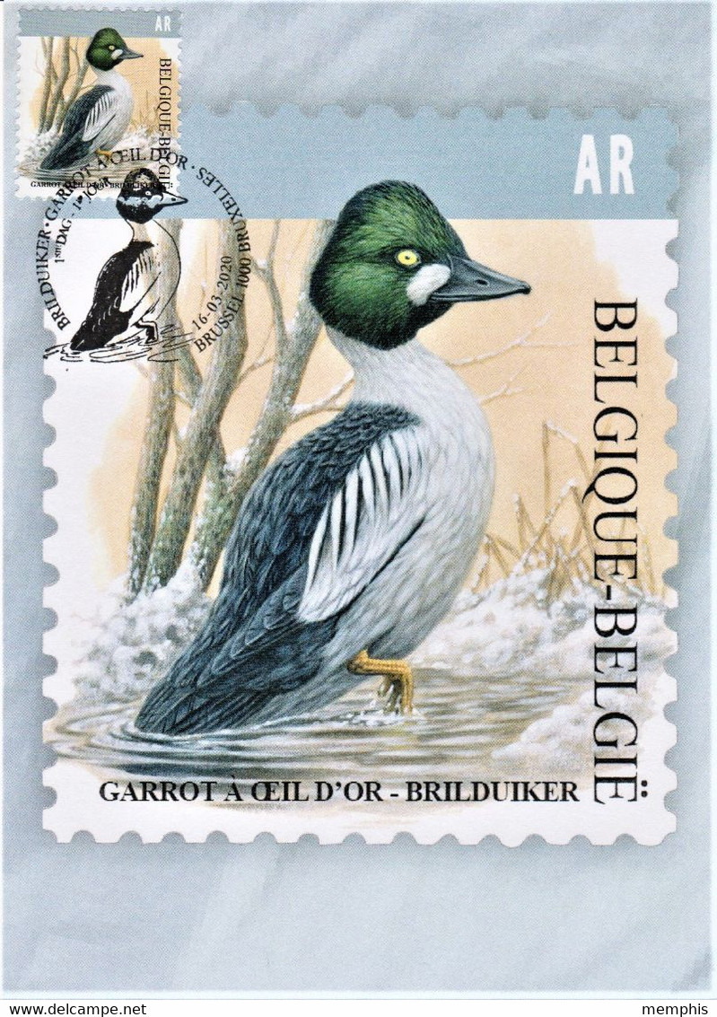 Maximumkaart Bpost "Brilduiker" Met 1ste Dag Stempel Brussel - Bruxelles 16-03-2020 - 1985-.. Vogels (Buzin)