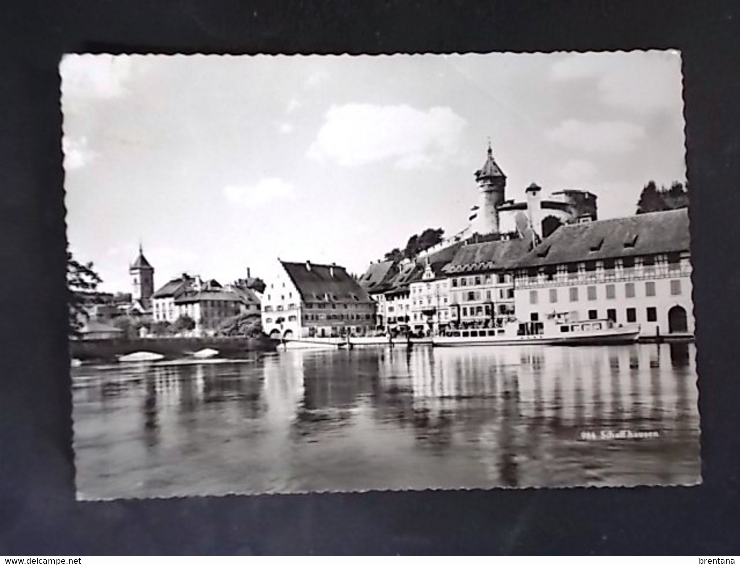 SVIZZERA SUISSE -SCHAFFHAUSEN -F.G. LOTTO N°759 - Hausen Am Albis 