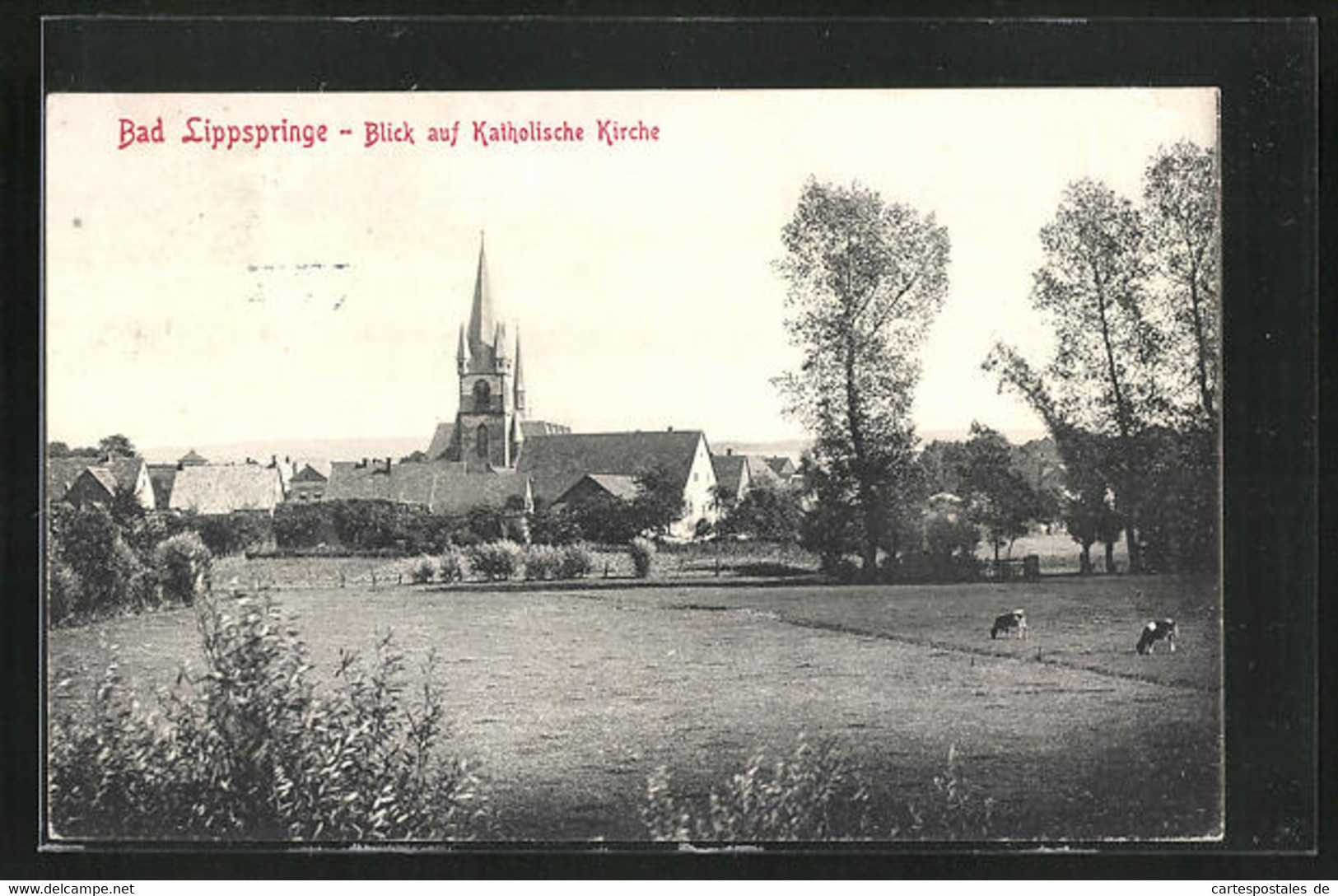 AK Bad Lippspringe, Blick Auf Katholische Kirche - Bad Lippspringe