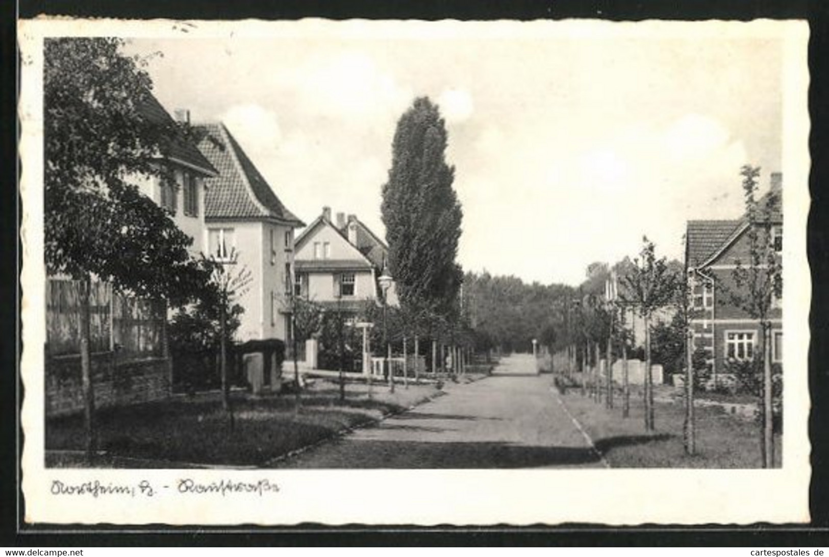 AK Northeim, Raustrasse Mit Wohnhäusern - Northeim