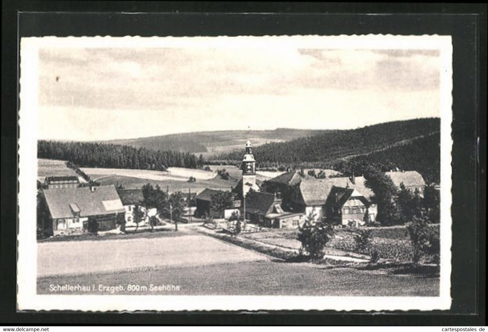 AK Schellerhau I. Erzgeb., Ortsansicht Aus Der Vogelschau - Schellerhau