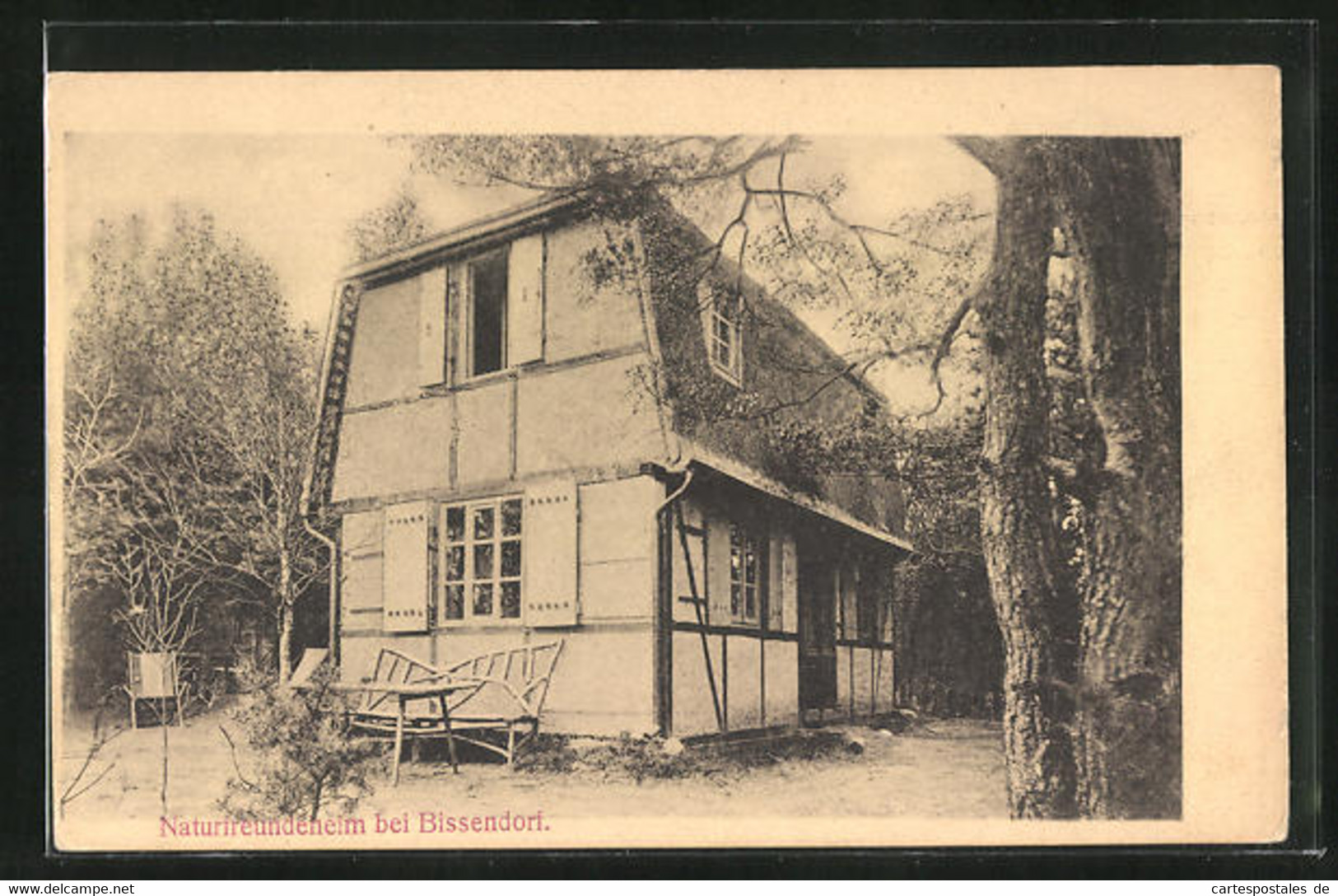 AK Bissendorf, Rückseite Vom Naturfreundeheim - Bissendorf