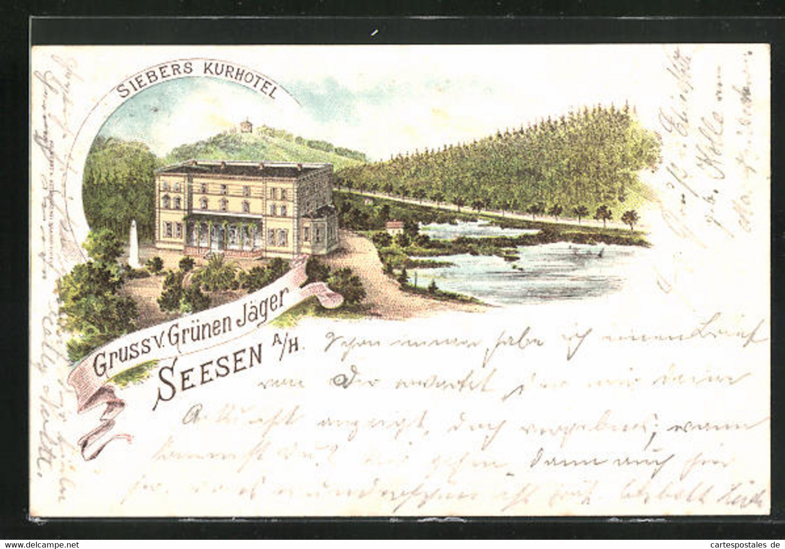 Lithographie Seesen A. H., Kur-Hotel Zum Grünen Jäger - Seesen