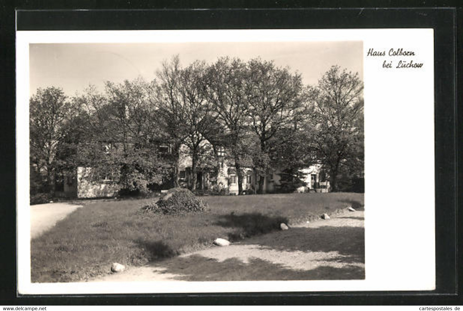 AK Lüchow, Haus Colborn Im Sommer - Luechow