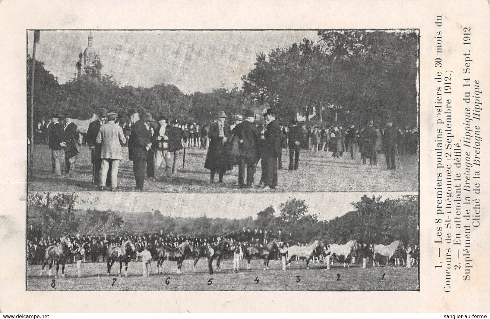 CPA 29 LES 8 PREMIERS POULAIN POSTIERS CONCOURS DE ST THEGONNEC - Other & Unclassified