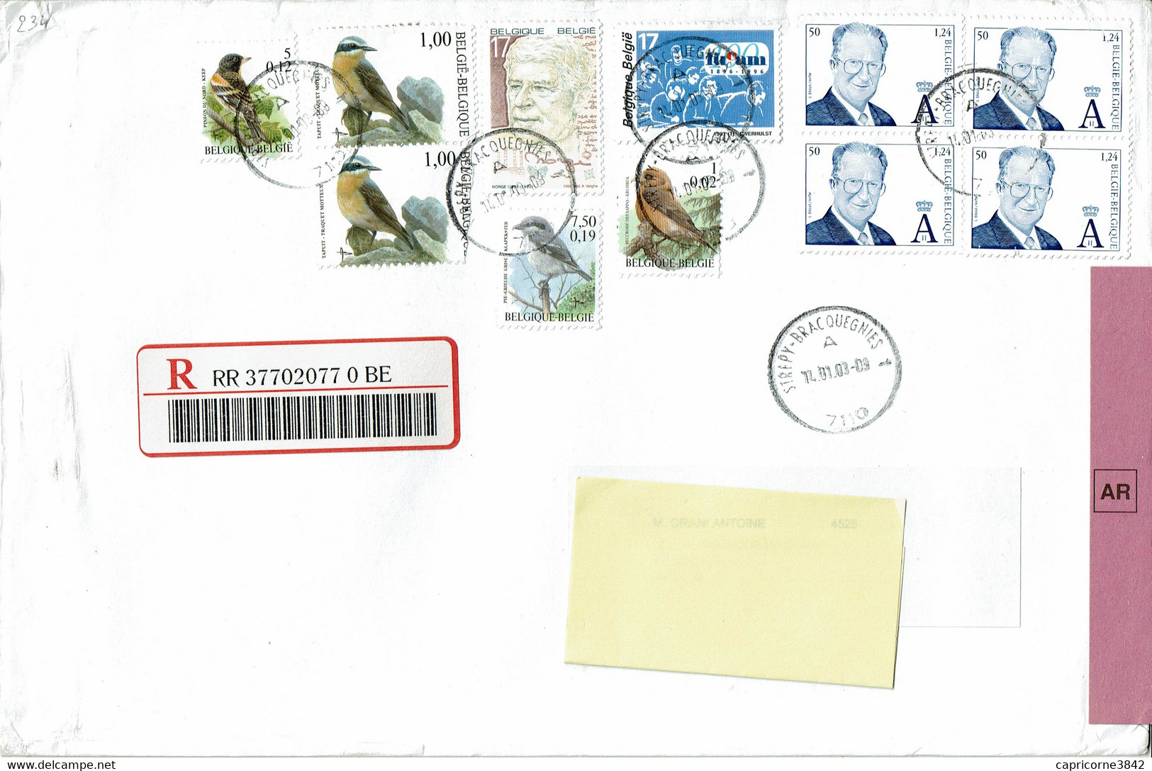 2003 - Lettre De Belgique Pour La France - OISEAUX - Bloc De 4 Tp Roi Albert II2,50 € - Covers & Documents