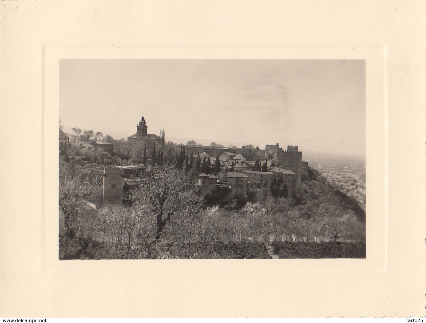 Photographie - Espagne - Grenade - L'Alhambra Vue Du Généralife - Photographs