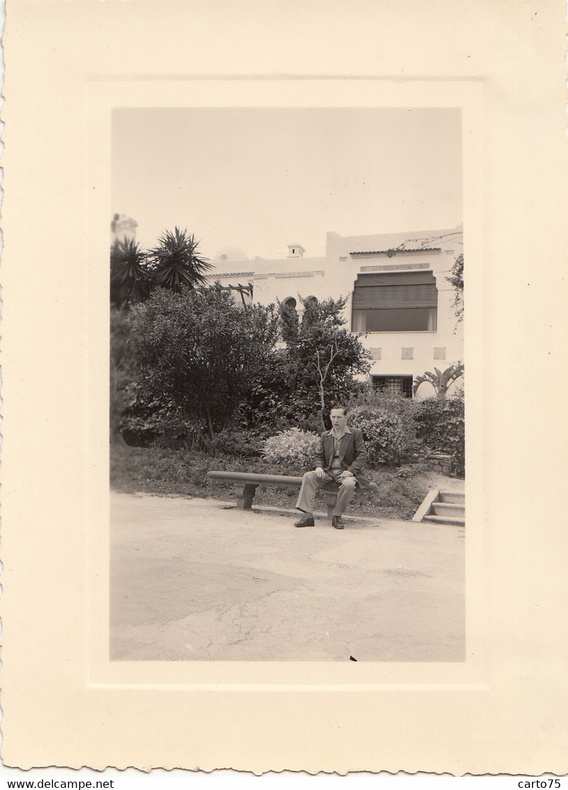 Photographie - Algérie - Alger - Jardin Hôtel Saint-Raphaël - Photographs