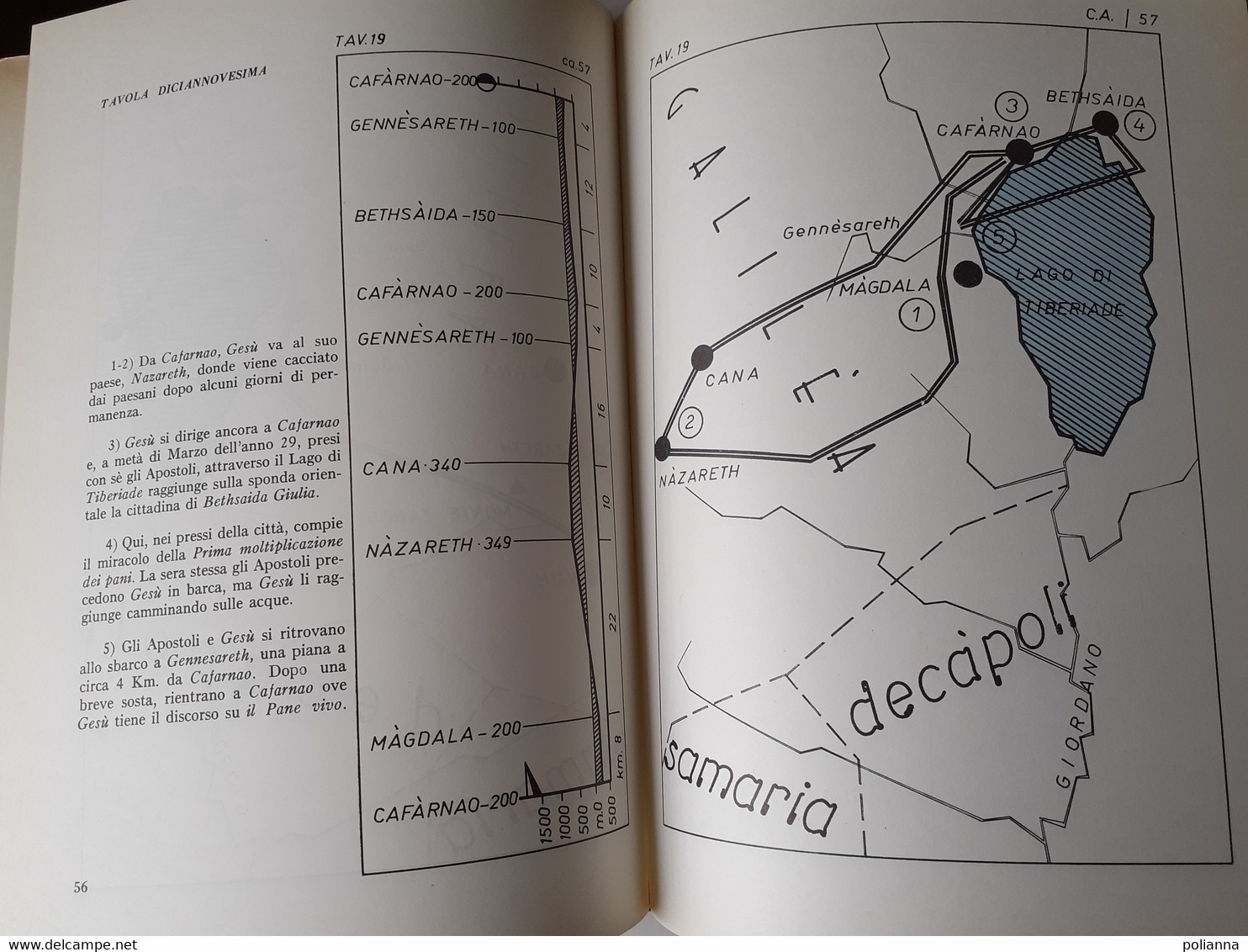 M#0X08 Angelo Genovesi ITINERARI PALESTINESI  DI GESÙ Ed.Paoline 1958/RELIGIONE/PALESTINA - Religione