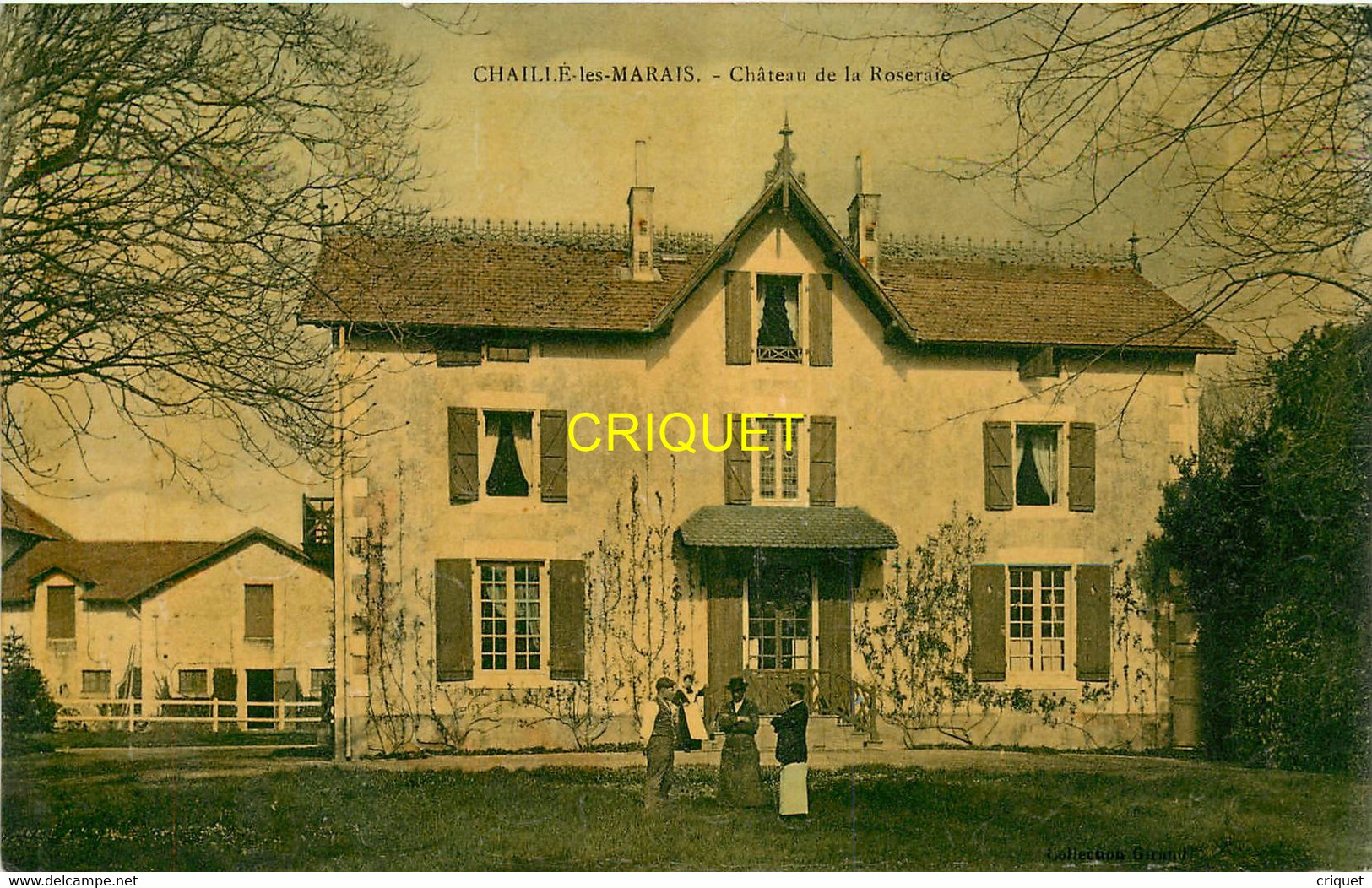 85 Chaillé Les Marais, Chateau De La Roseraie, Propriétaires Et Employés En Avant..., Carte Glacée Colorisée, 1908 - Chaille Les Marais