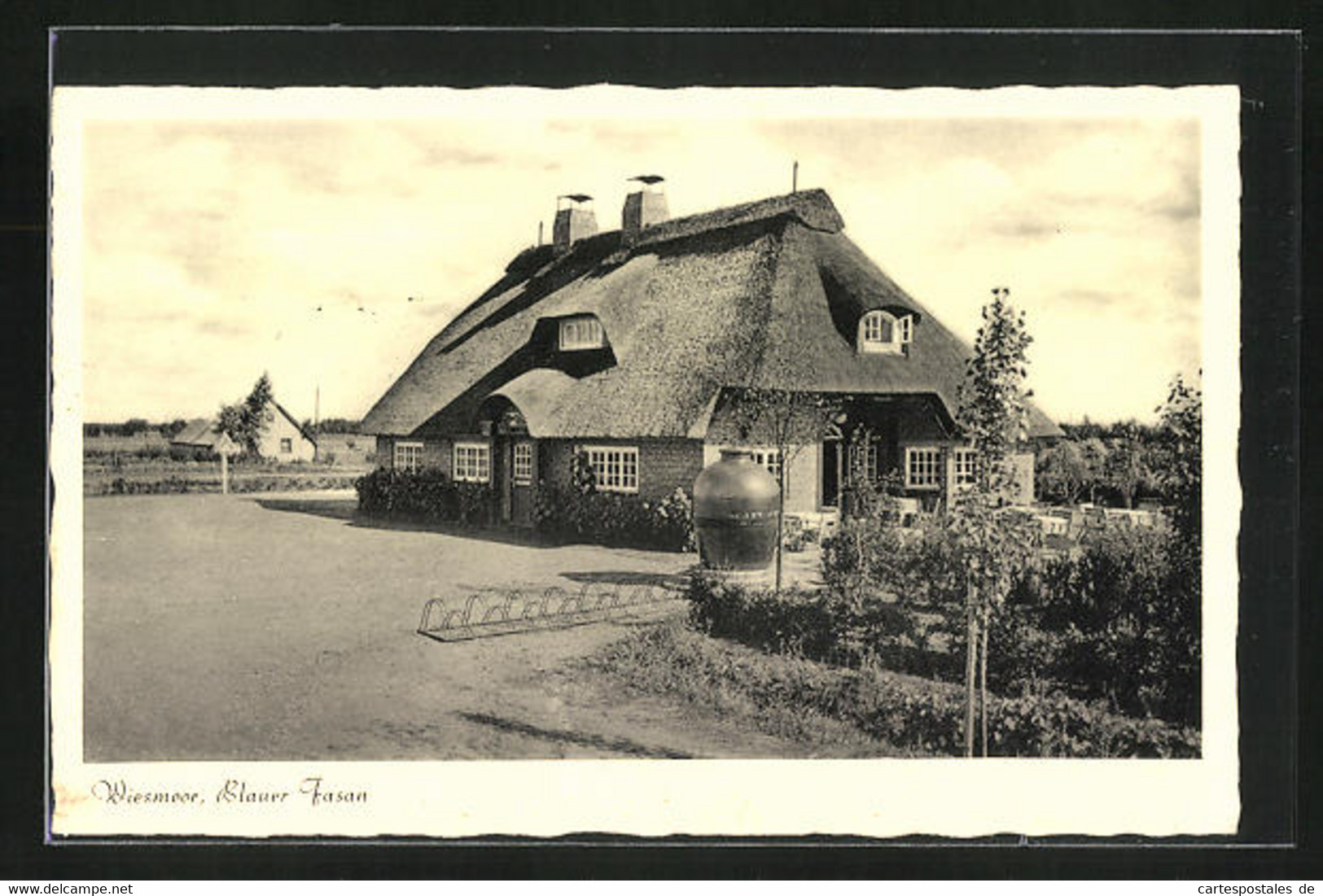 AK Wiesmoor, Gasthaus Blauer Fasan - Wiesmoor