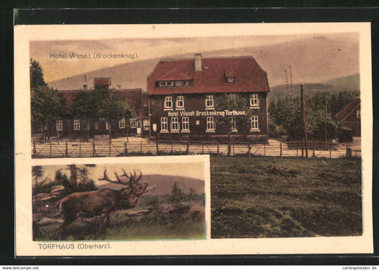 AK Torfhaus / Oberharz, Hotel Wendt - Brockenkrug Und Brüllender Hirsch - Oberharz