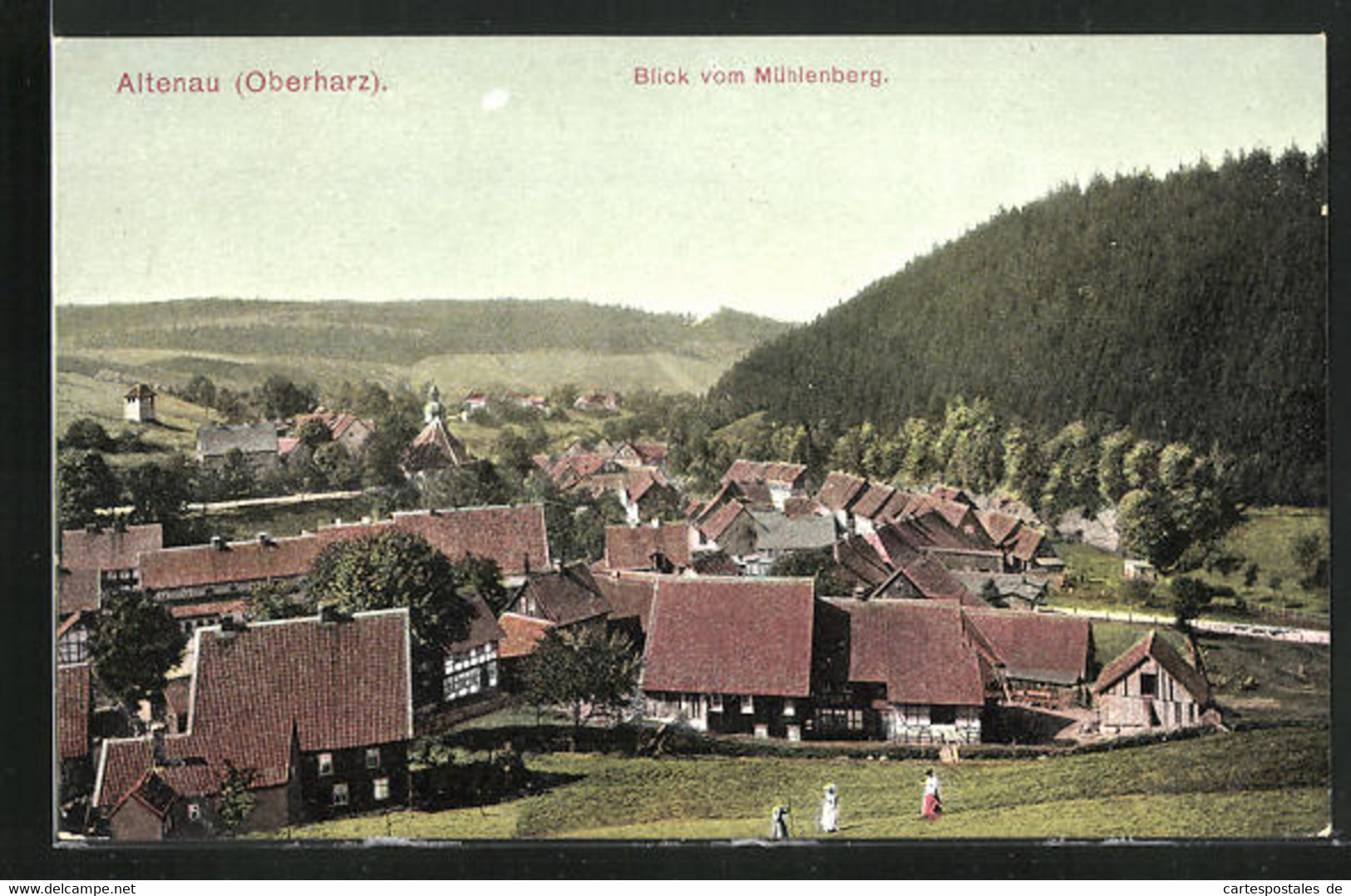 AK Altenau (Oberharz), Blick Vom Mühlenberg - Oberharz