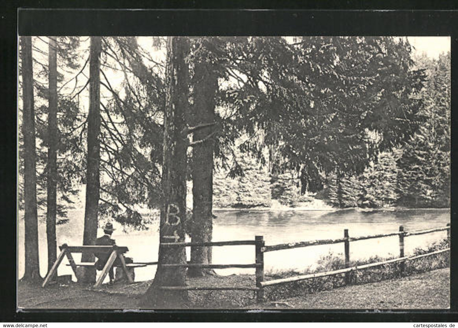 AK Braunlage (Oberharz), Mann Auf Einer Bank Am Neuen Teich - Oberharz