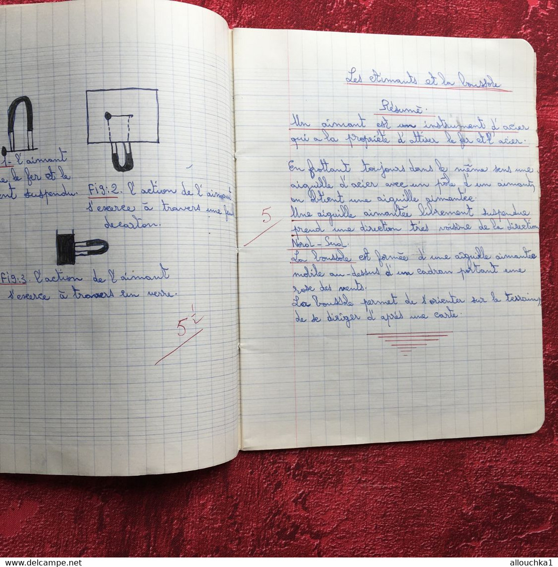 Cahier Ecole communale de La Loubière Marseille 5é-Cahier d'écolier Sciences naturelles Texte écriture au porte plume
