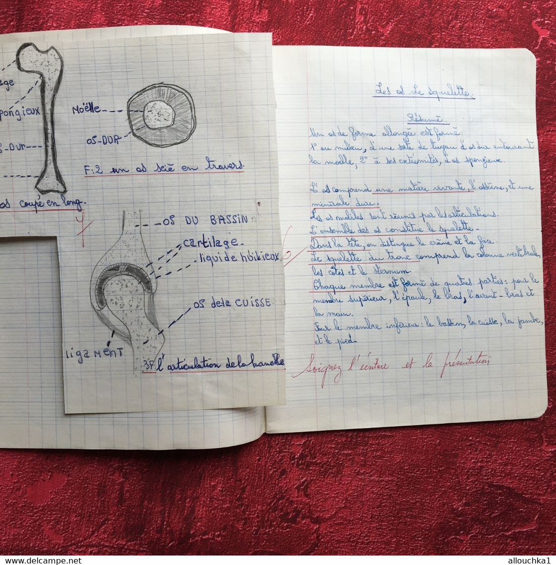 Cahier Ecole communale de La Loubière Marseille 5é-Cahier d'écolier Sciences naturelles Texte écriture au porte plume
