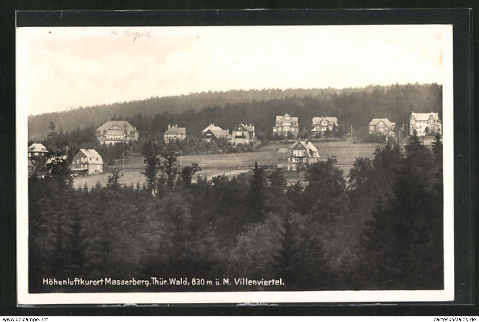 AK Masserberg, Villenviertel Des Höhenluftkurortes, 830 M ü.M. - Masserberg
