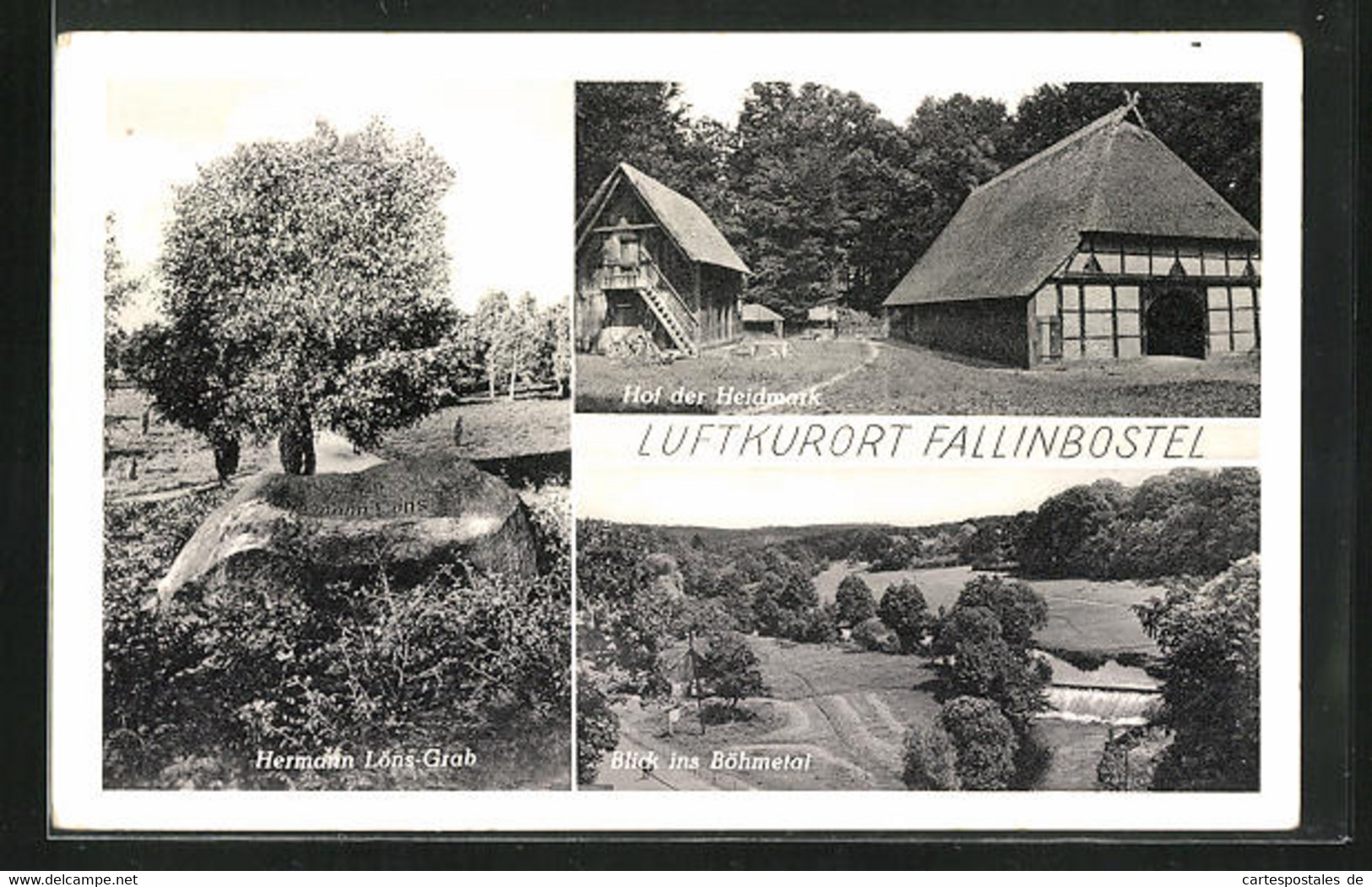 AK Fallingbostel, Hermann Löns Grab, Hof Der Heidmark, Böhmetal - Fallingbostel