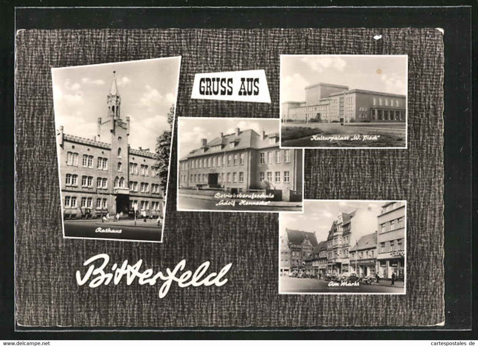 AK Bitterfeld, Betriebsberufsschule Adolf Hennecke, Rathaus, Kulturpalast W. Pieck - Bitterfeld