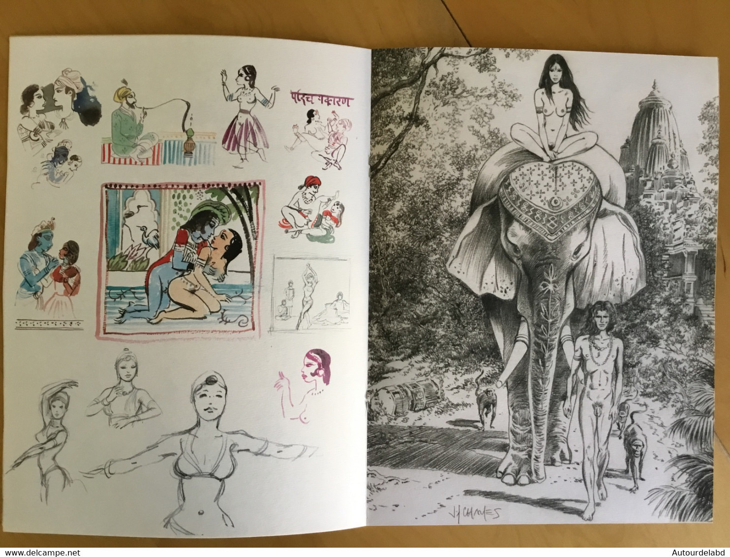 Carnet De Croquis Et Dessins INDIA DREAMS Par Charles ( BD ) - Other & Unclassified