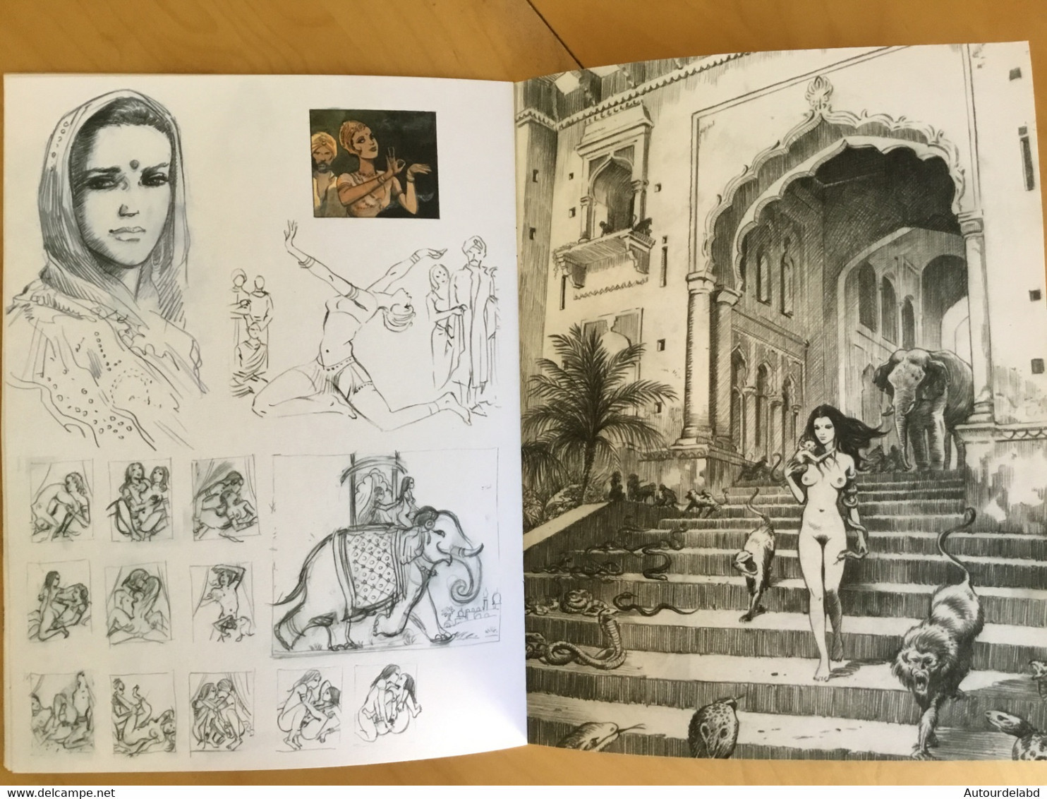 Carnet De Croquis Et Dessins INDIA DREAMS Par Charles ( BD ) - Other & Unclassified