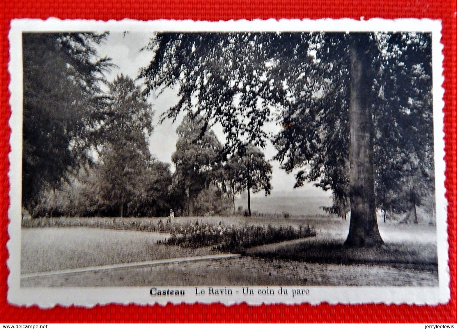 CASTEAU  -  Le Ravin -  Un Coin Du Parc - Soignies