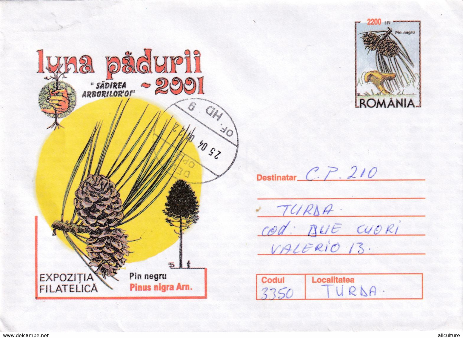 A9454- PHYLATELIC EXHIBITION FOREST MONTH 2001- PINUS NIGRA, DEVA 2001 ROMANIA ROMANIAN POSTAGE STAMP COVER STATIONERY - Árboles