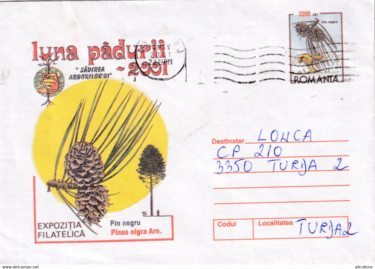 A9456- PHYLATELIC EXHIBITION FOREST MONTH 2001 PINUS NIGRA ARN., CLUJ ROMANIA ROMANIAN POSTAGE STAMP COVER STATIONERY - Árboles