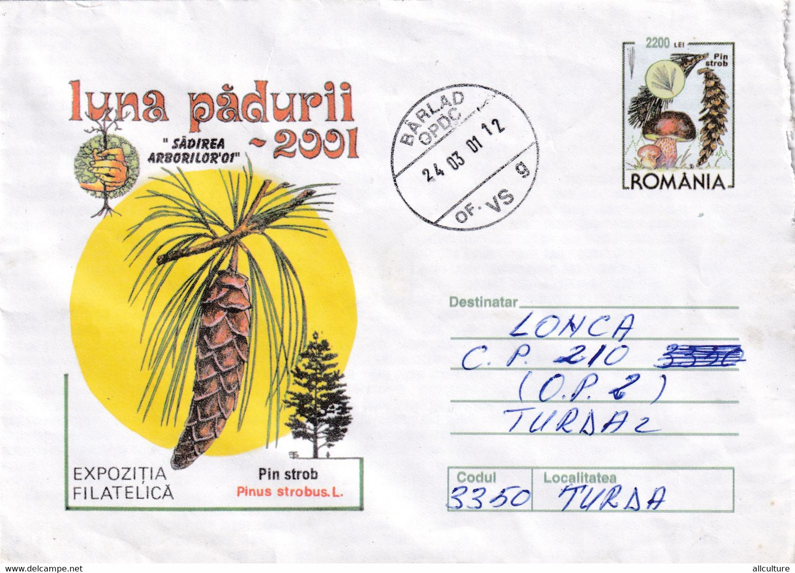 A9465- PHYLATELIC EXHIBITION FOREST MONTH 2001 PINUS STOBUS, ROMANIA 2001 ROMANIAN POSTAGE STAMP COVER STATIONERY - Exposiciones Filatélicas
