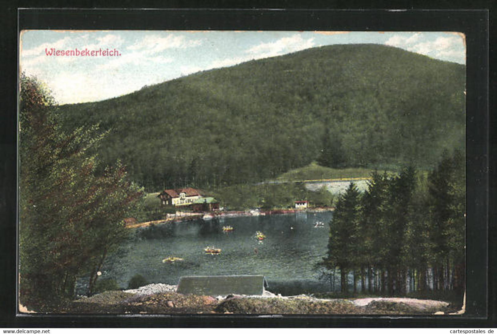 AK Bad Lauterberg, Blick Auf Den Wiesenbekerteich Mit Ruderern - Bad Lauterberg